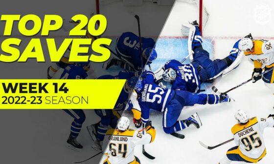 The Best NHL Saves of Week 14 | Murray, Markstrom, Ullmark | 2022-23 Season