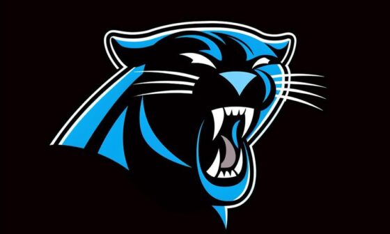 Carolina Panthers: HBD @brandonzylstra ... - Raw Chili