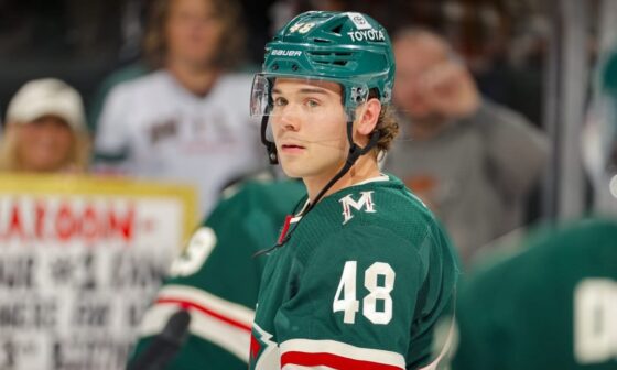 Minnesota Wild Recalls Defenseman Daemon Hunt From Iowa