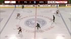 [Prince George Cougars] Riley Heidt scores his 22nd of the year, and CHL leading 70th point. This is his 35th game of the season. Seems good? @mnwild