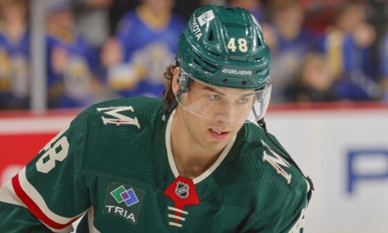 Minnesota Wild Recalls Defenseman Daemon Hunt from Iowa