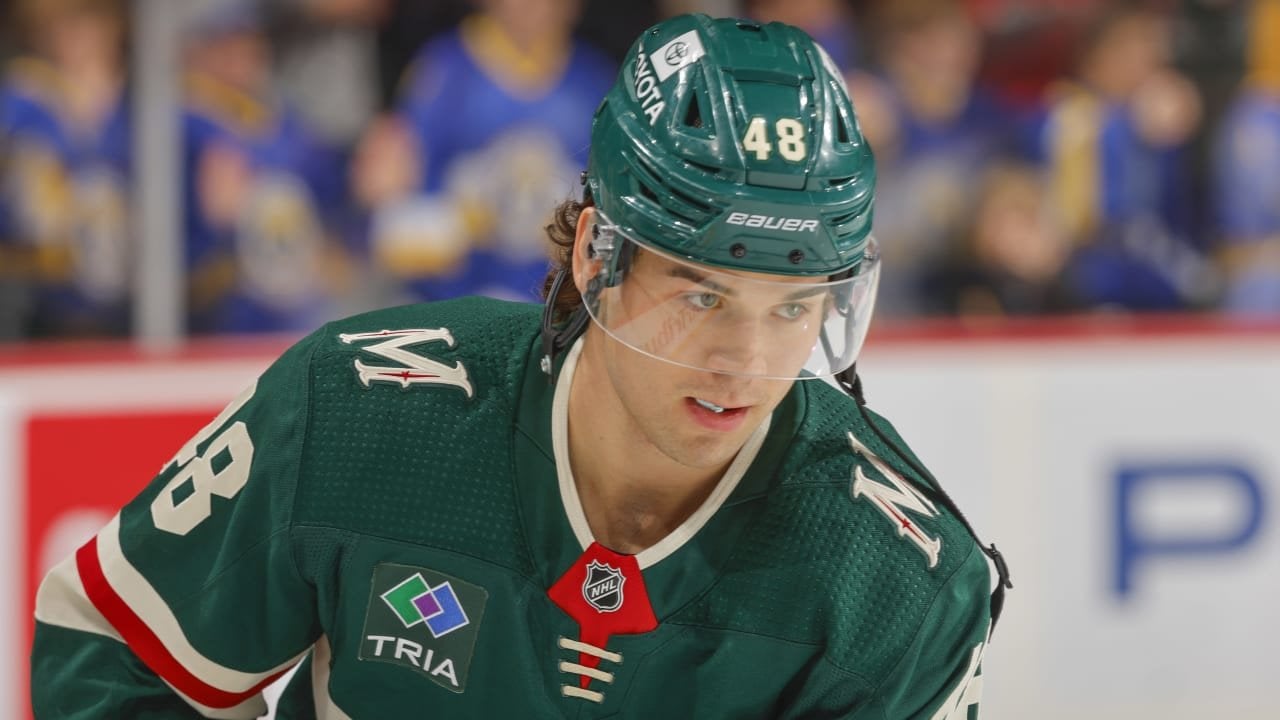 Minnesota Wild Recalls Defenseman Daemon Hunt from Iowa