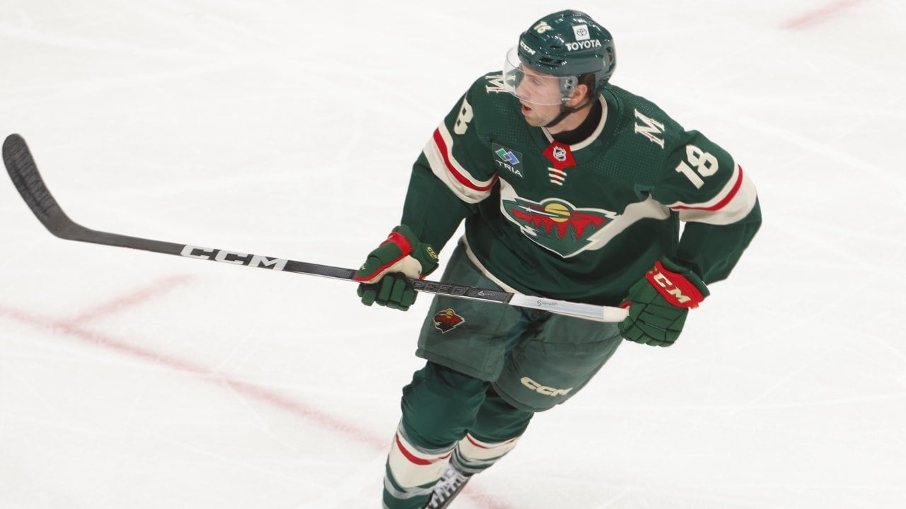 Minnesota Wild Recalls Forward Sammy Walker from Iowa