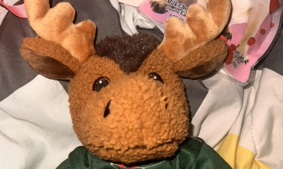 nothing says “happy valentine’s day” like a moose in a wild jersey.