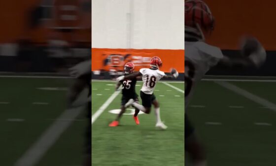 Kwamie with the CATCH 🤯 #bengals #nfl #widereceiver