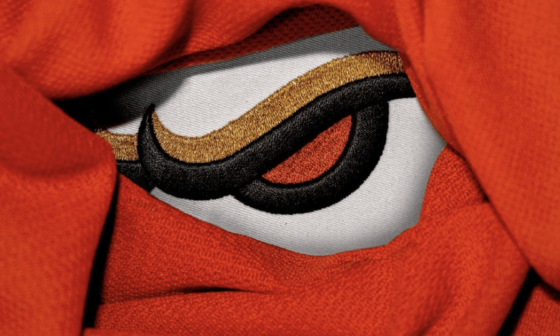 Ducks logo sneak peek