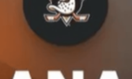 Anaheim Logo leaks