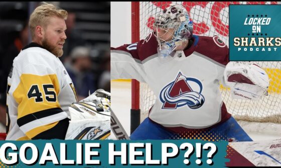 Who Could The San Jose Sharks Turn To For Additional Goalie Help?