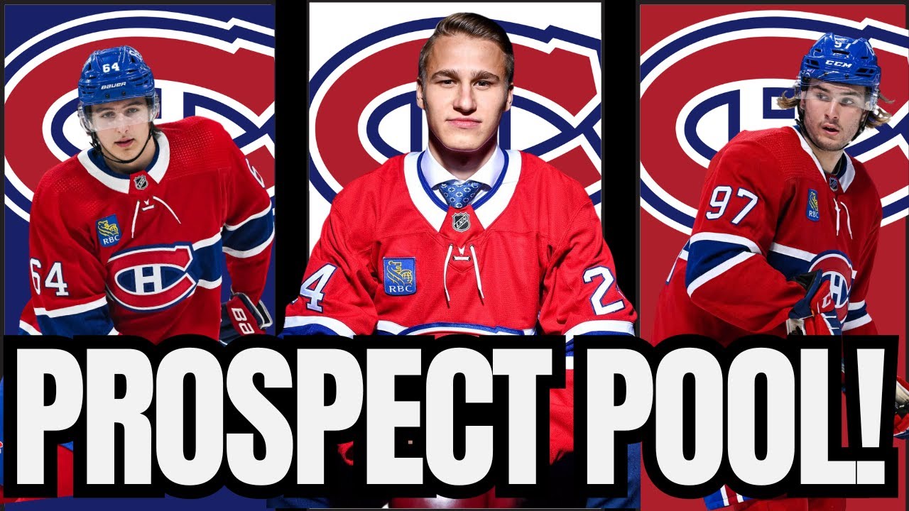 Montreal Canadiens PROSPECT POOL | CRAZY Top 10 !