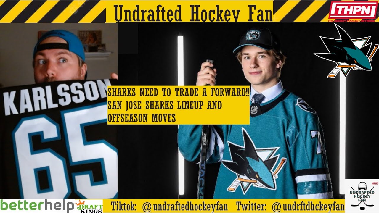 2024-25 San Jose Sharks Lineup and Offseason Review