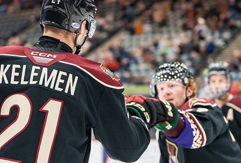 ROADRUNNERS RELEASE 2024-2025 SCHEDULE