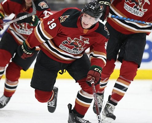 Roadrunners Sign Hebig, Poganski, Drew To AHL Contracts