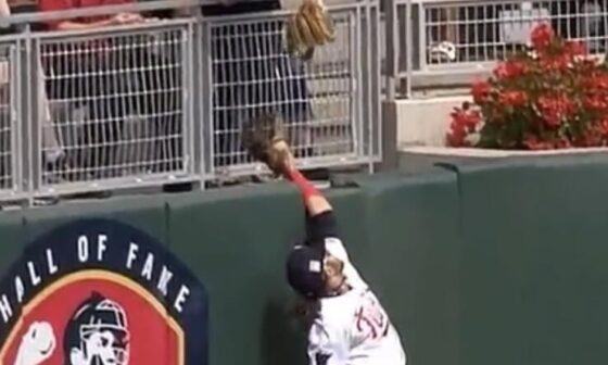 Twins fan secures Hoskins home run.