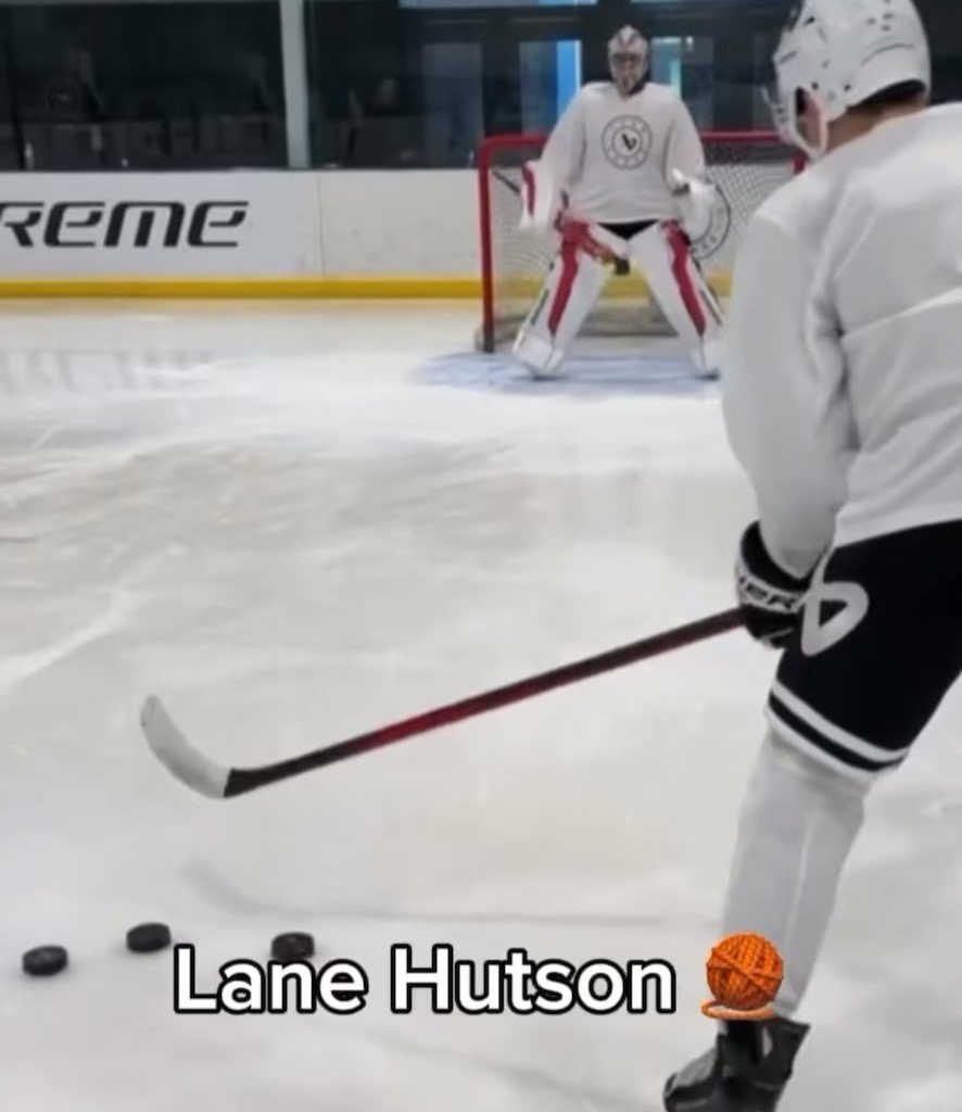 Laine Hutson🧶