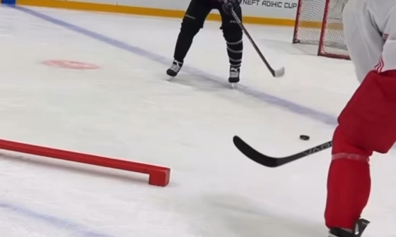 Andrei Svechnikov & Nail Yakupov off-season training