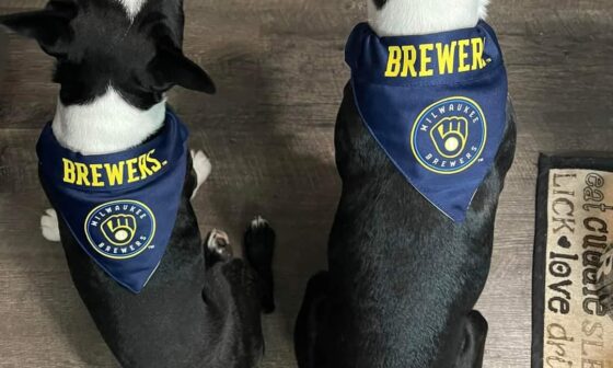 My sister's pups were ready for Brewers baseball for my birthday today