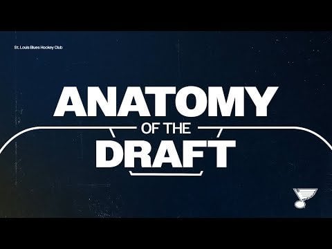 The Anatomy of the Draft 2024