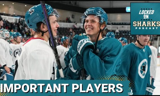 Are Macklin Celebrini And Will Smith The Most Important Players In San Jose This Season?