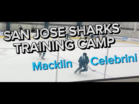 Macklin Celebrini @ San Jose Sharks Training Camp Day 2 (9/20/2024)