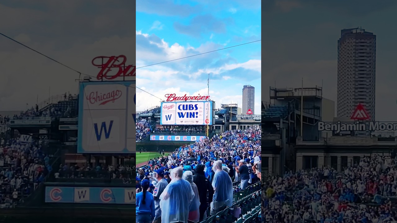 Go Cubs Go from Section 120 🍻 #chicago #cubs #ballpark