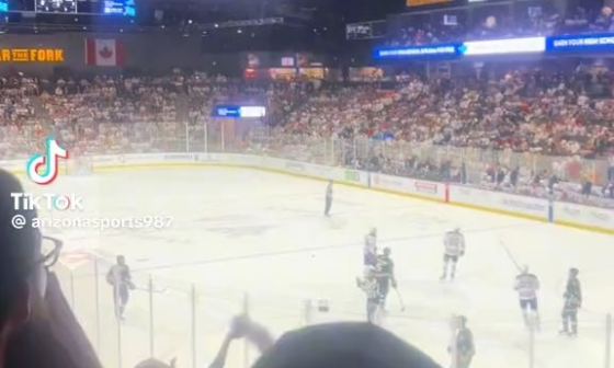 The crowd saying Salt Lake Sucks on a special moment of the coyotes under their last game