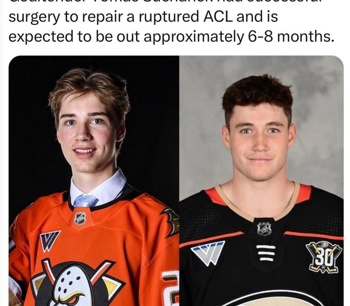 @anaheimducks Instagram