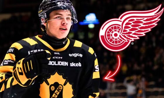 Axel Sandin Pellikka will be a SUPERSTAR with the Detroit Red Wings