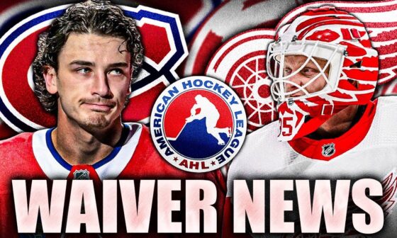 HABS & RED WINGS MAKE SOME SURPRISING WAIVER MOVES: ALEX BARRE-BOULET & VILLE HUSSO