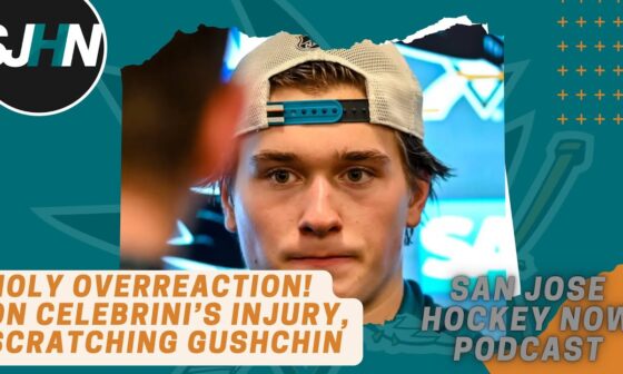 Holy Overreaction! Talking Celebrini's Injury, Scratching Gushchin!