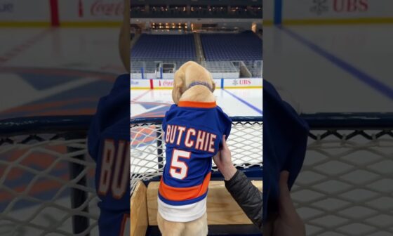 New York Islanders Puppy with a Purpose 5.0 Named 'Butchie'