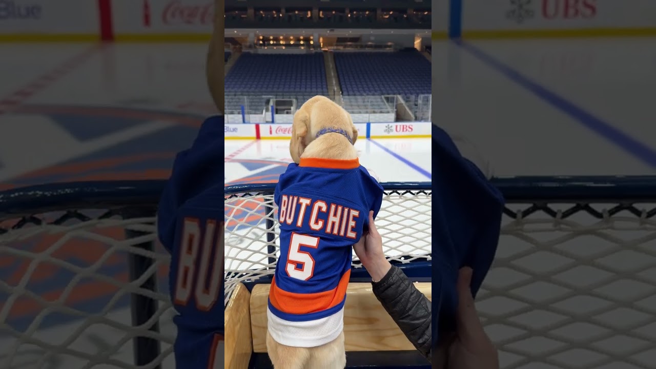 New York Islanders Puppy with a Purpose 5.0 Named 'Butchie'