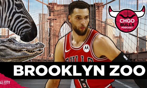 How the banged-up Zach LaVine, Chicago Bulls will fare in the Brooklyn Zoo | CHGO Bulls Podcast