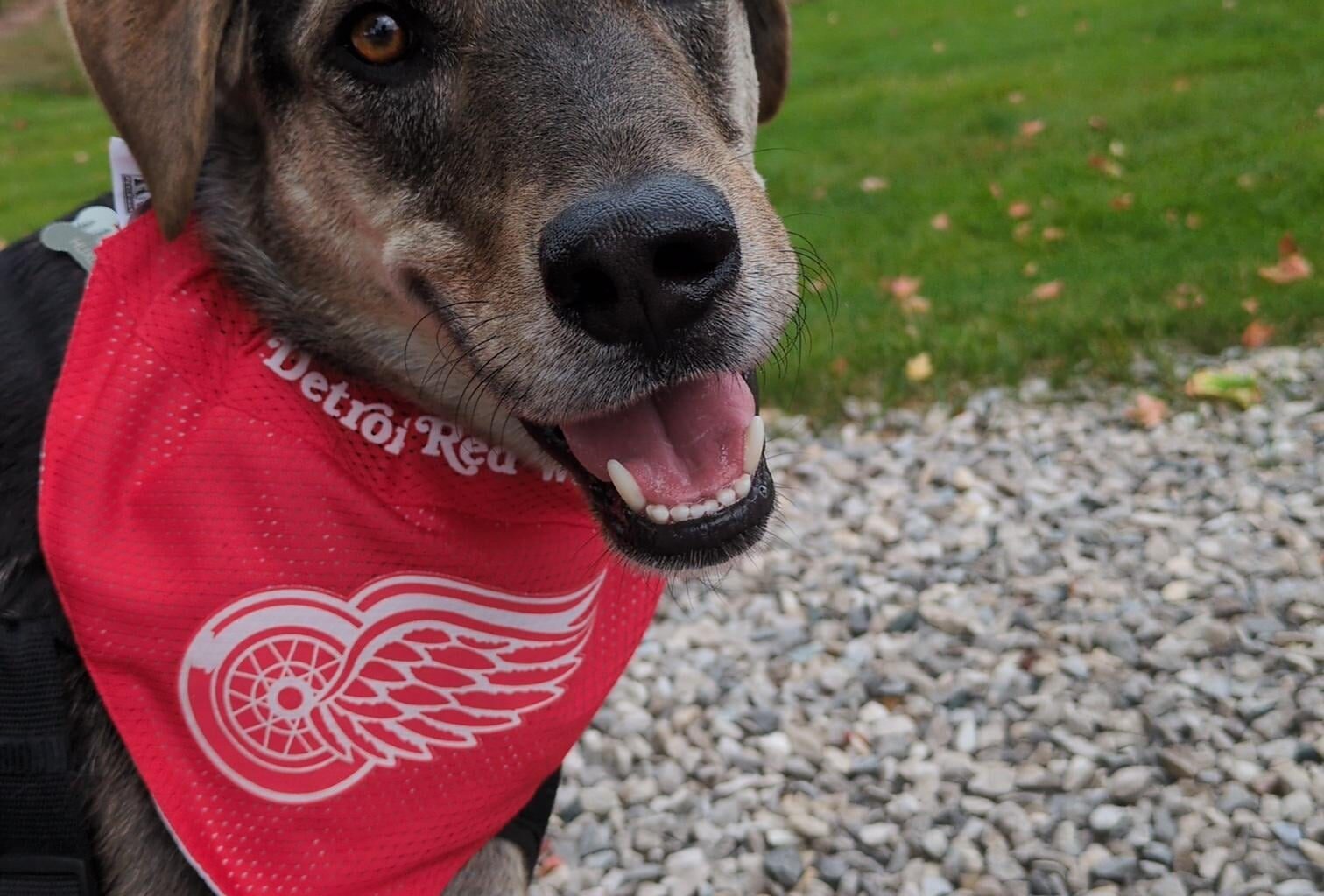 Huxley says "Good Morning and Go Red Wings!"