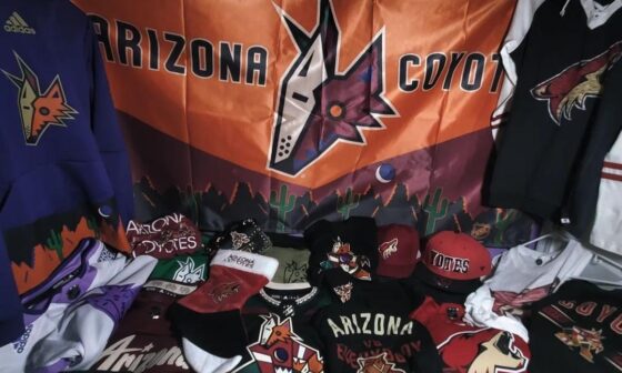 My Yotes collection :)