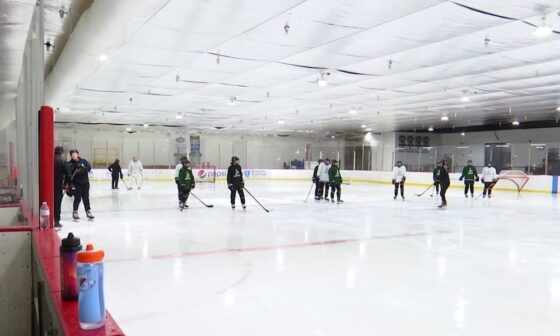 Help support AZ Hockey - Girls hockey program needs help raising money after Arizona Coyotes departure