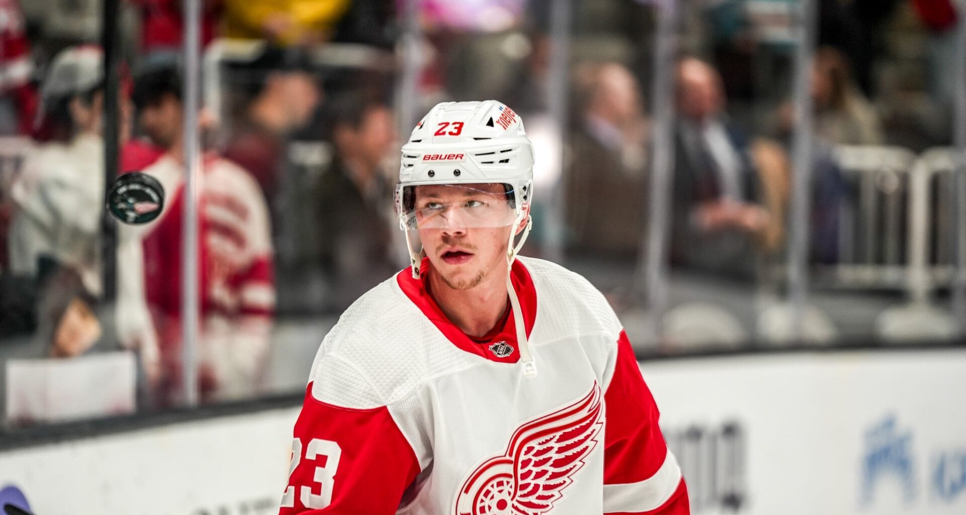 How the Red Wings' Forwards Stack Up in the Atlantic Division