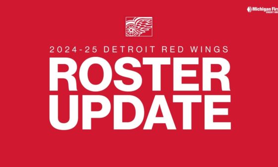 Red Wings reduce 2024 preseason roster to 41