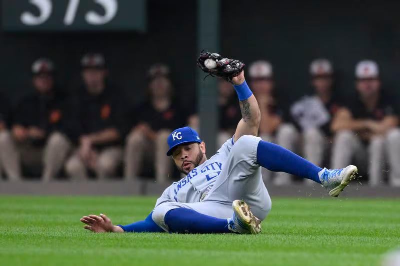 Tommy Pham Sliding Catch Appreciation Post