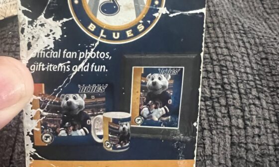 STL BLUES PHOTO PASS ENTERPRISE