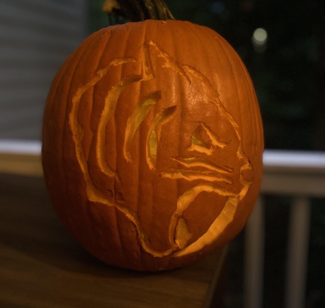 Trying to will the Preds into playing a lick of defense by carving the 2020 winter classic logo into a pumpkin