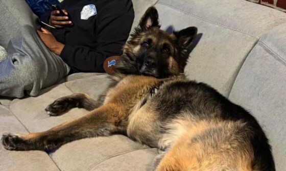 The fastest man alive chillin with his pup after the win last Sunday.