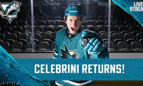 MACKLIN CELEBRINI RETURNS | SAN JOSE SHARKS SPORTS TALK