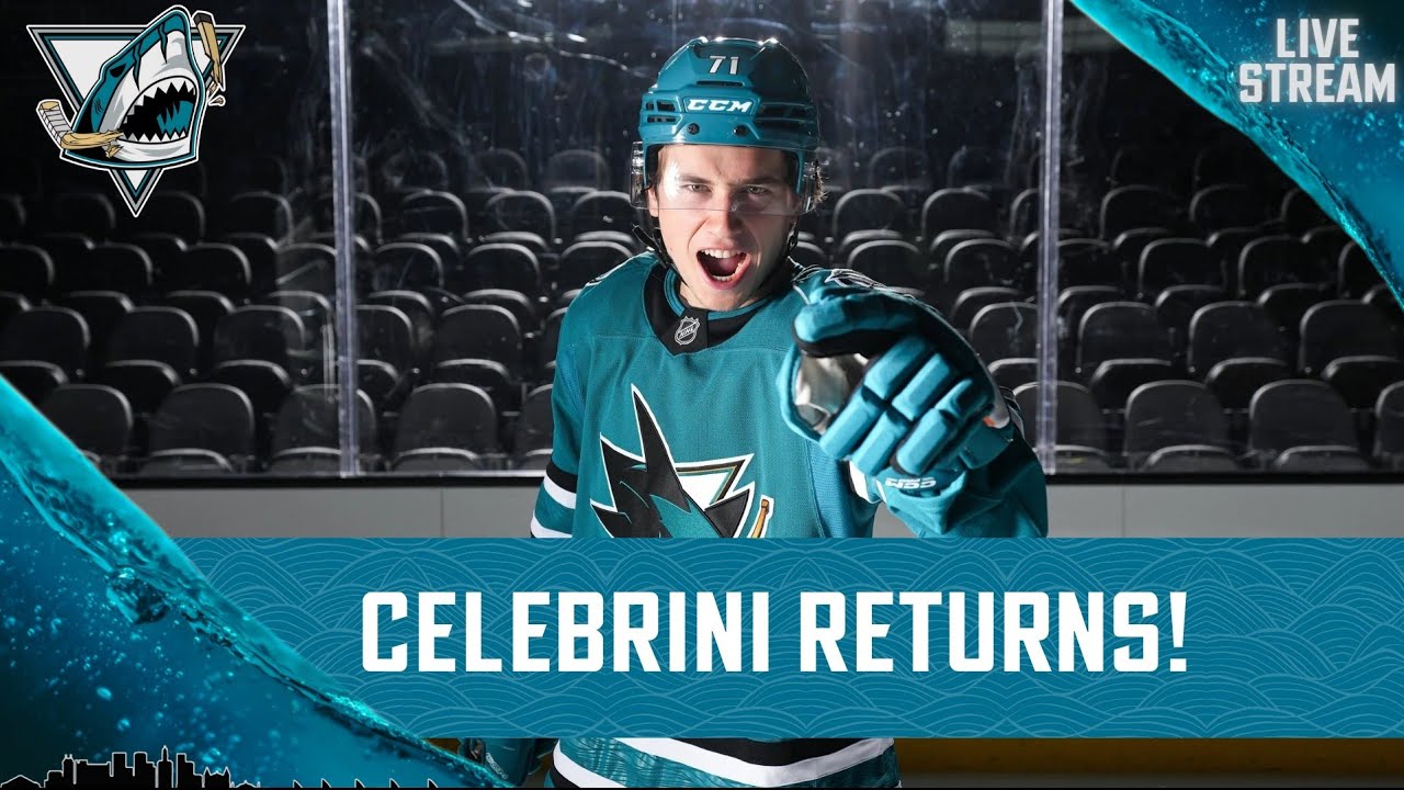 MACKLIN CELEBRINI RETURNS | SAN JOSE SHARKS SPORTS TALK