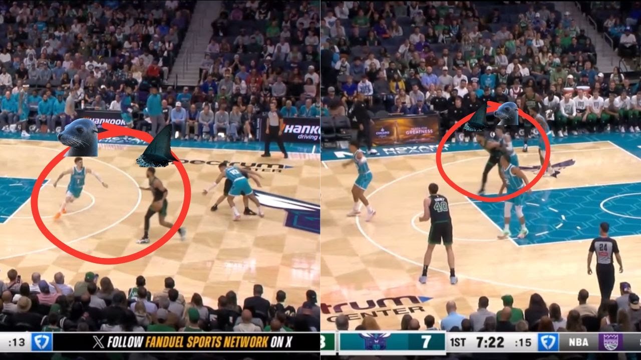 How the Celtics HUNTED the Charlotte Hornets : Film Session