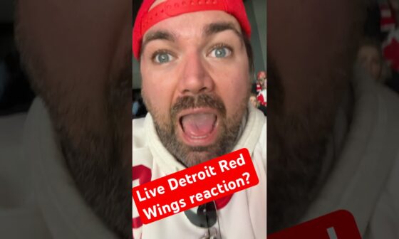 My Detroit Red Wings versus Buffalo Sabres reaction from 2:30 to 1:59 in the third period ￼11/2/2024