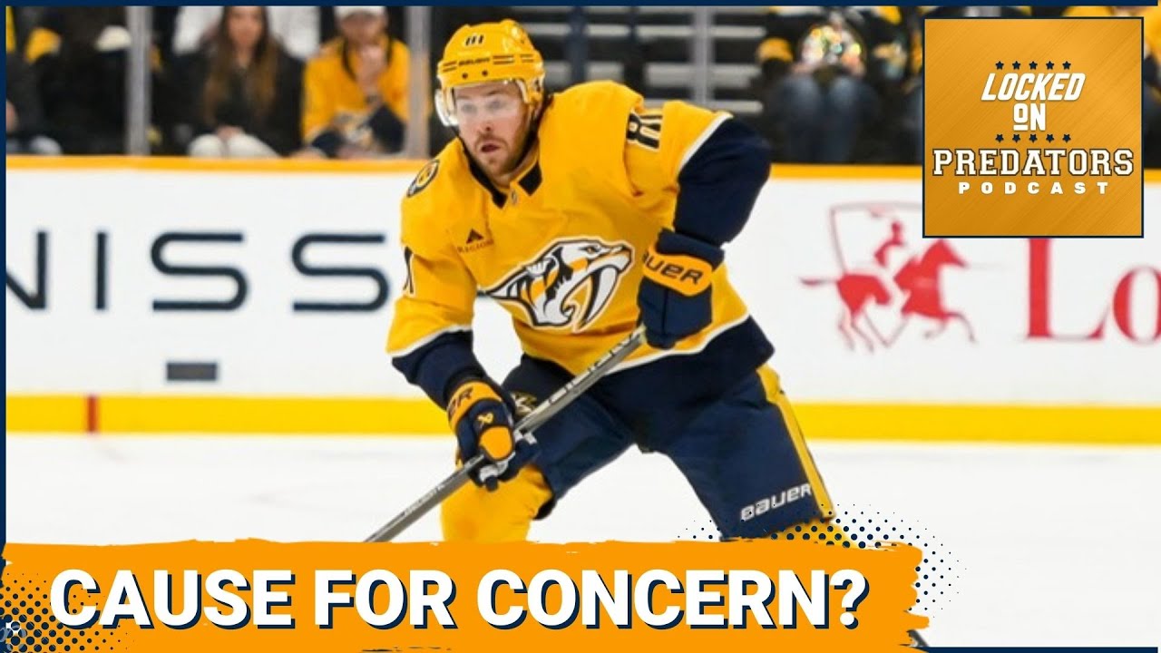 Veteran Perspectives on the Nashville Predators' Rocky Start