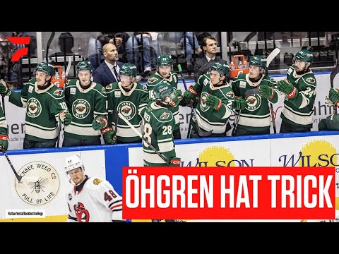 Minnesota Wild Prospect Liam Öhgren Scores First AHL Hat Trick In Iowa Wild Win Over Rival Rockford