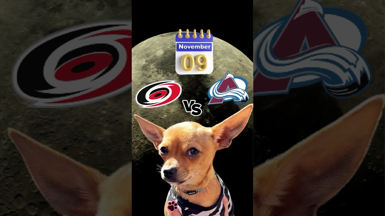 Carolina Hurricanes 🆚 Colorado Avalanche | Butters’ NHL PREDICTION #shorts