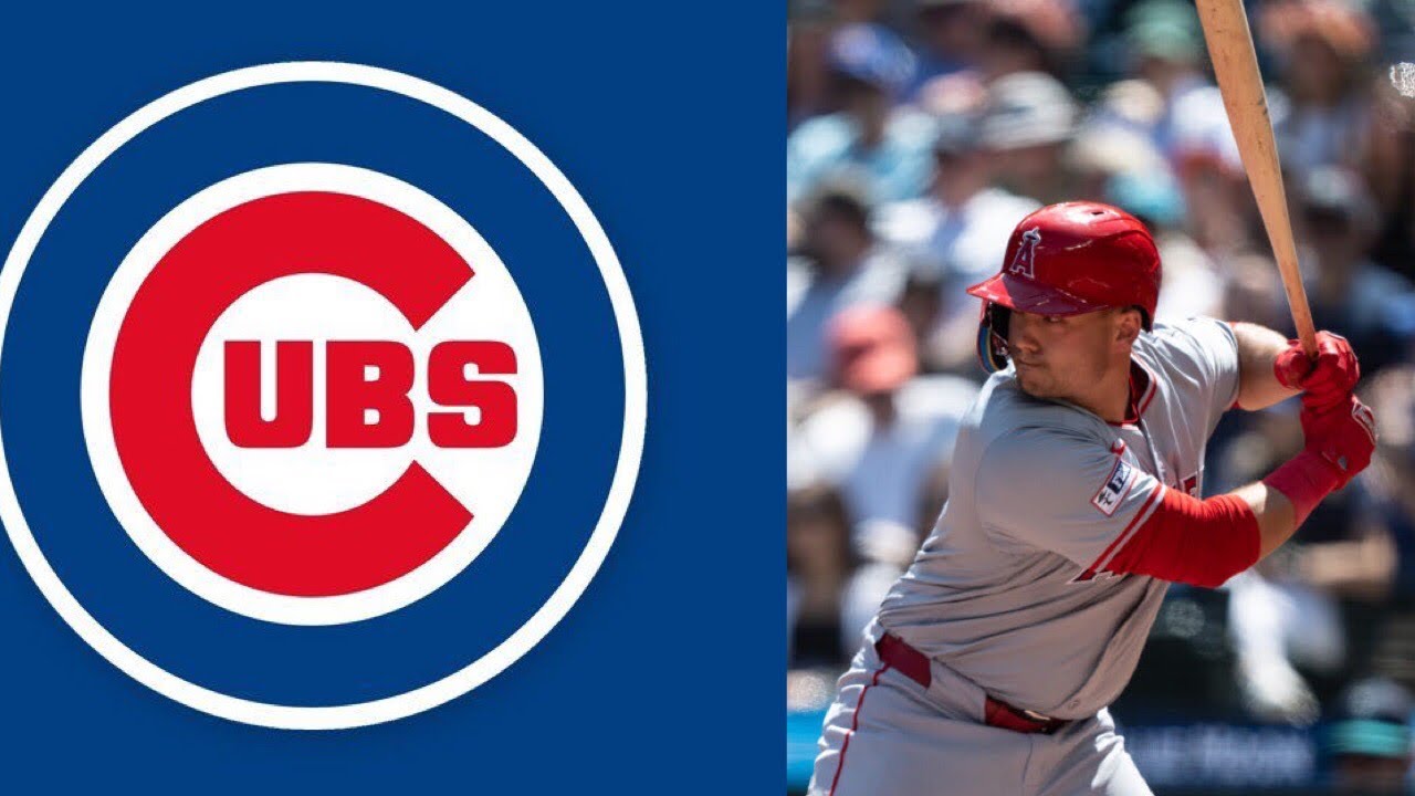 Chicago Cubs Sign Matt Thaiss Fantasy Baseball / MLB  News