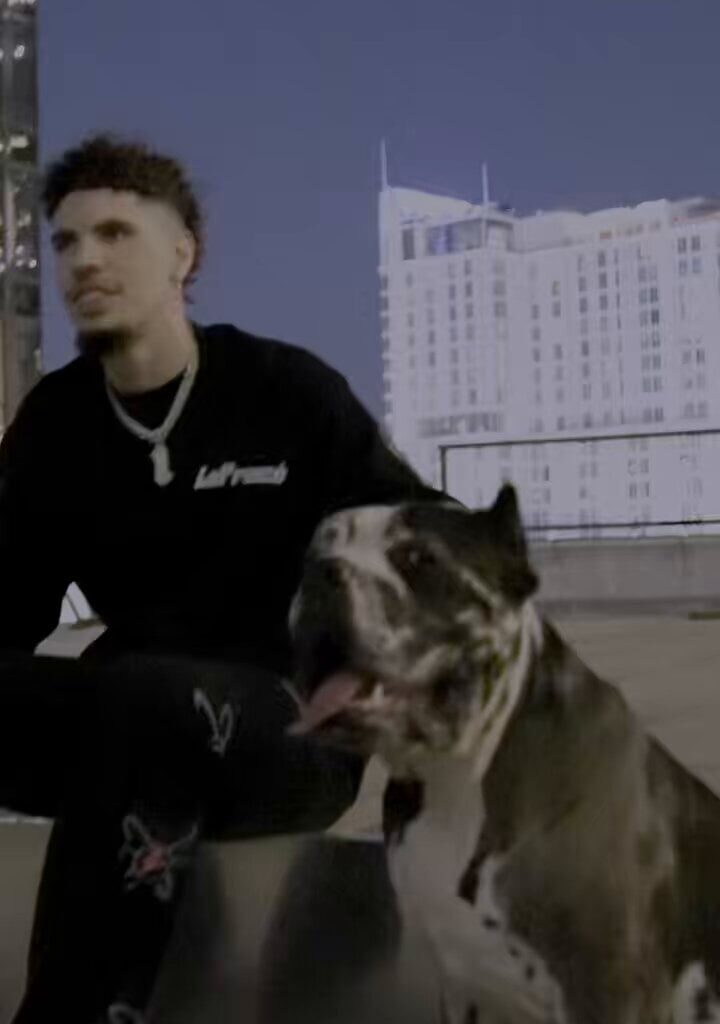 LaMelo Ball is partnering with The Humane Society to donate 250 meals to pets for every point he scores this season